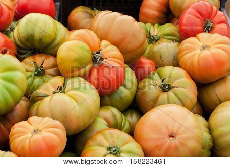 Close up view of fresh organic green tomatoes.
