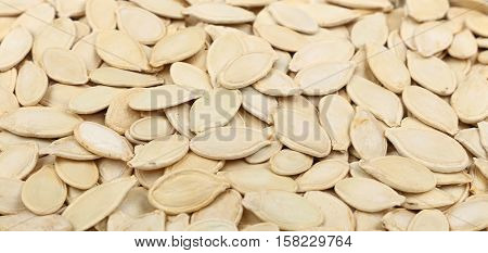 Raw Pumpkin Seeds Close Up Background