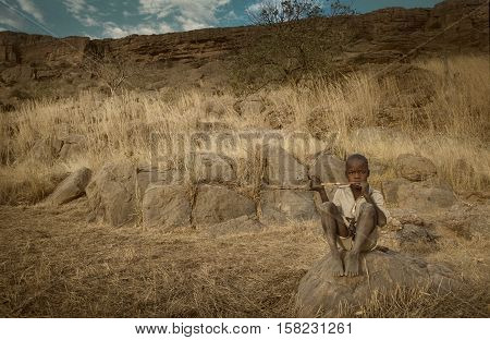 Mali, Africa - Dogon Village And Typical Mud Buildings