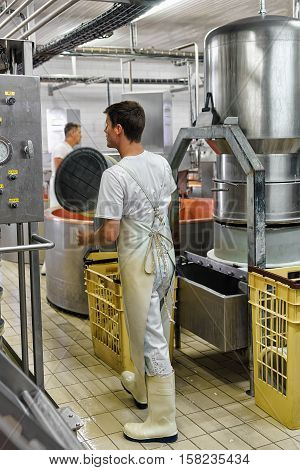 Cheese Maker Working At The Dairy In France