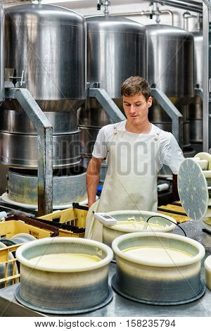 Cheesemaker Putting Young Gruyere Comte Cheese In Forms Dairy