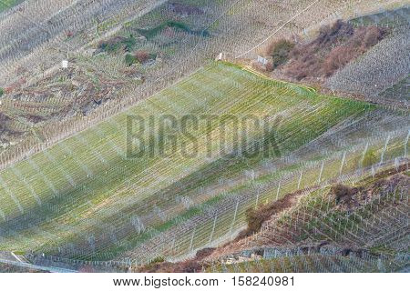 Winding Road through the vineyards on the Mosel in Germany.