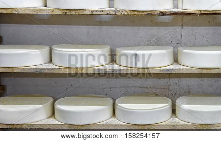 Shelves Of Young Cheese In Maturing Cellar Franche Comte Creamery