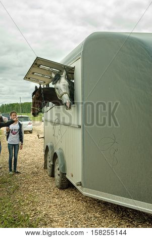 Tyumen, Russia - June 25, 2016: The 5th open championship of Russia on a plowed land. People load horses into van for transportation