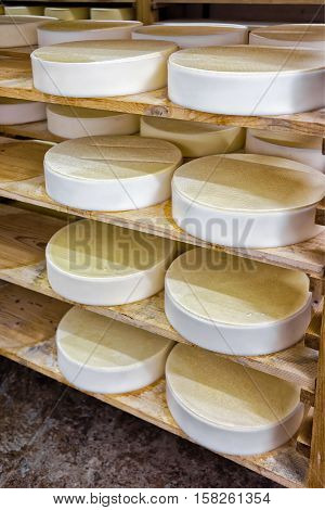 Young Comte Cheese At Maturing Cellar In Franche Comte Dairy