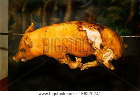 Young piglet prepared on barbecue for party