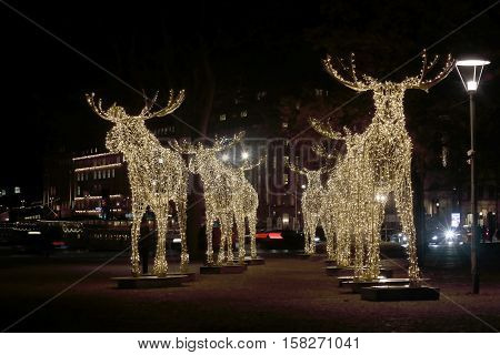 Herd of Christmas moose made of led light Nybrokajen Stockholm Sweden