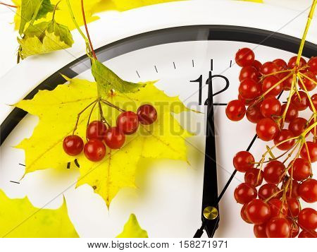 12 o'clock. Clock face with yellow leaves and red ripe viburnum. Autumn time.