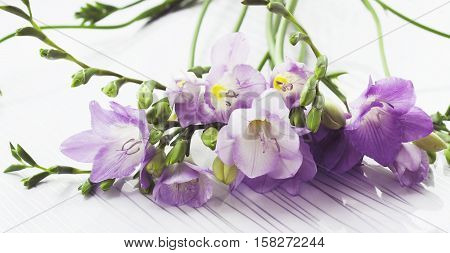 Bouquet Of Freesias Flowers