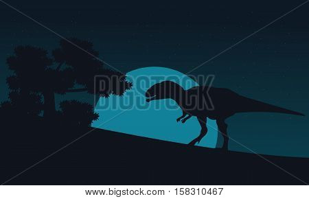 Silhouette of mapusaurus on hill at night scenery illustration