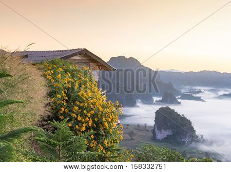 people look at Beautiful sun rise phulangka mountain and the mist