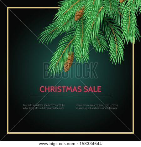 Big sale card background poster. Stock vector illustration with fir branches and sale label on black background.