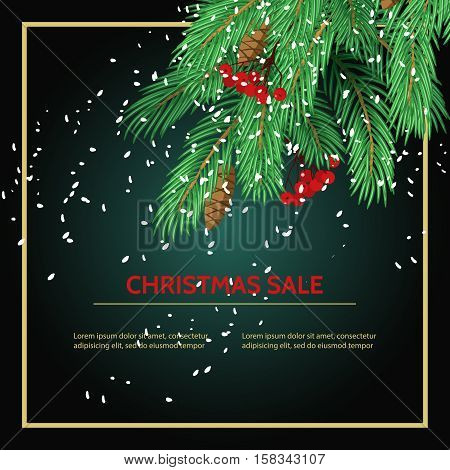 Big sale card background poster. Stock vector illustration with fir branches and sale label on black background.