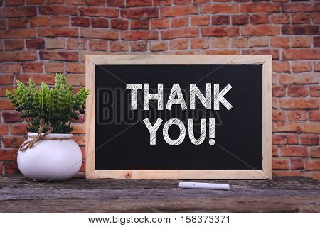 THANK YOU word on blackboard with green plant