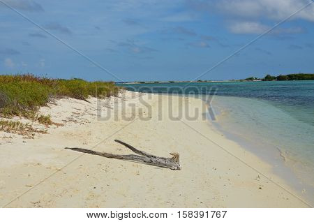 A remote beach on Dry Tortugas a small isalnd off the coast of florida.
