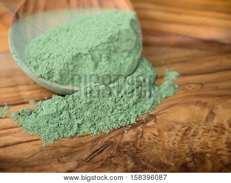 Indigo indigofera tinctoria powder in the wooden spoon