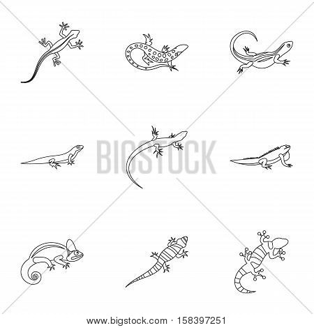 Varan icons set. Outline illustration of 9 varan vector icons for web