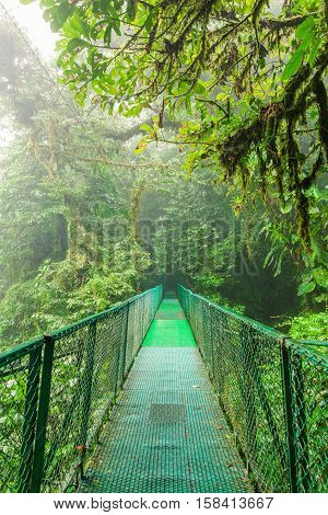 Hanging suspension bridge in Monteverde cloud forest reserve Costa Rica
