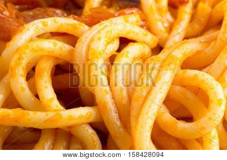 Detailed Macro View On Cooked Spaghetti With Sauce
