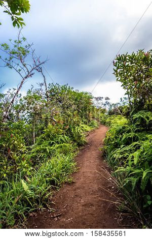 View of Kuliouou Ridge trail overlooking the south shore of Oahu, Hawaii