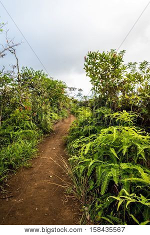 View of Kuliouou Ridge trail overlooking the south shore of Oahu, Hawaii