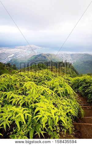 View of Kuliouou Ridge trail overlooking the south shore of Oahu, Hawaii