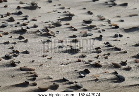 Wind-swept rocks with small dunes accumulating behind them. The power and dynamics of the wind and sand are accentuated by the cast of shadows of the edged stones.