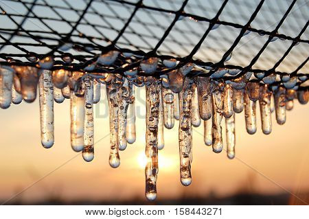 Icicles On The Background Of The Gold Sunset