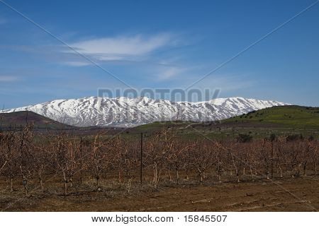 Hermon-bjerget