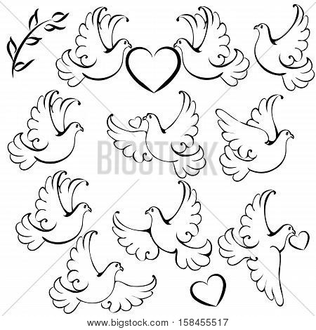 Collection of vector dove silhoettes with hearts for design