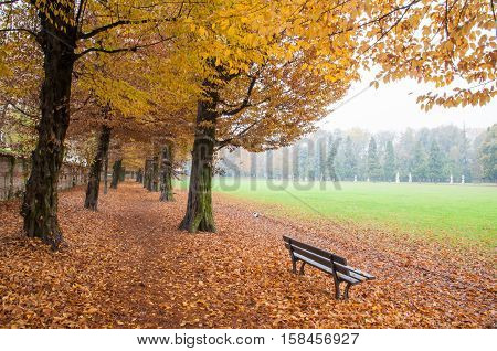 Autumn In Vicenza