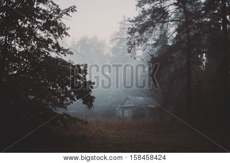 Early dark misty morning in forest village with trees in front and old wooden village houses in distance drops of dew on needles and grass dusk