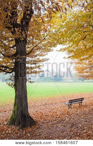 Autumn In Vicenza