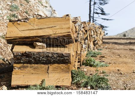 Firewood.