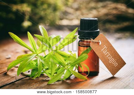 Fresh Tarragon On Wooden Background