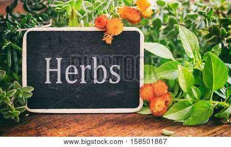 Variety Of Herbs And Label On Wooden Background