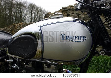 Triumph Tiger 1939 500cc Motorcycle. Photographed at Coleford Carnival of Transport, England. 12th April 2009.(fuel tank, Triumph Emblem)