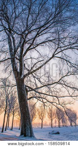 Great nice cozy winter landscape in the Netherlands along old seawall snow ice and fog