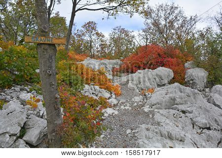 Autumn colours on display in the Carso karst limestone area of Friuli near Aurisina in north east Italy. This is part of a World War One walking trail as the area was then on the frontline. The sign indicates the presence of a cave.