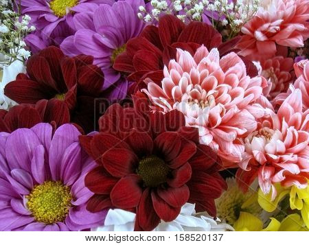 Multi color bouquet with such flower as dahlia and chrysanthemum
