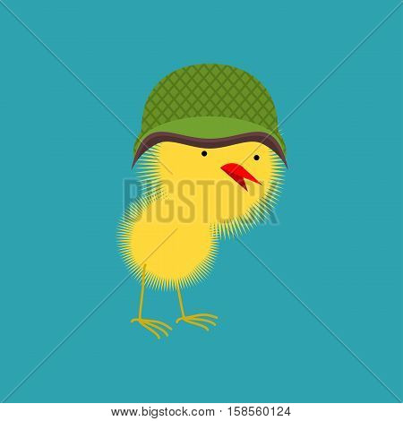 Chick In Military Helmet. Small Chicken. Little Farm Yellow Bird