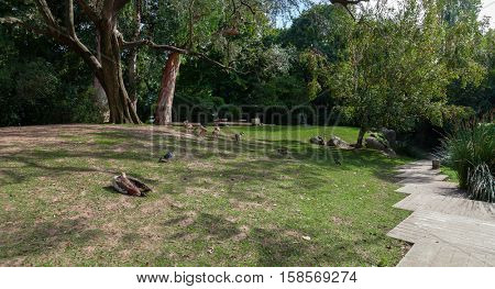 Lisbon, Portugal - October 19, 2016: Paths, lawns and birds in the garden of the Calouste Gulbenkian foundation. A very popular urban park open to the public especially among College students.