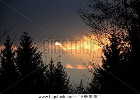 A sundown behind clouds between trees. A little alpenglow.