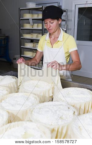 Cheesemaker Preparing Fresh Cheese