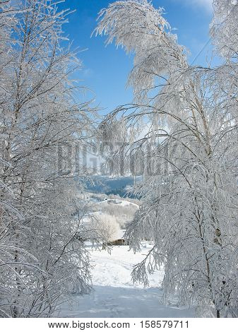 Beautiful winter landscape (fairy tale) in Sirnea village of Romania the most famous touristic place of Fundata region
