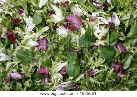 Fond de salade fraîche