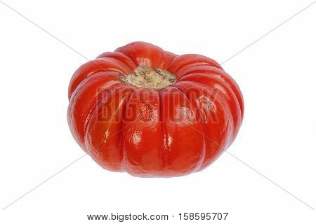 Pumpkin on a stick (Solanum integrifolium). Called Ornamental eggplant also. Image of pumpkin isolated on white background