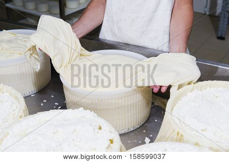 Cheesemaker Preparing Fresh Cheese