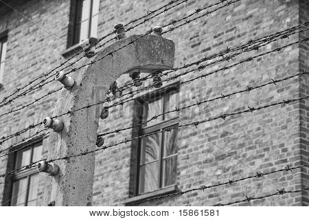 Arame farpado Auschwitz