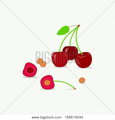 Сherries flat style vector illustration. Sweet red cherry with leaf and slice.